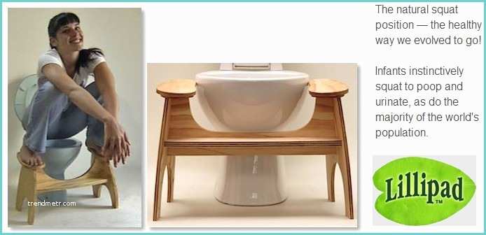 Convert Western toilet to Indian Center for Traditional Education why Indian toilets are Best