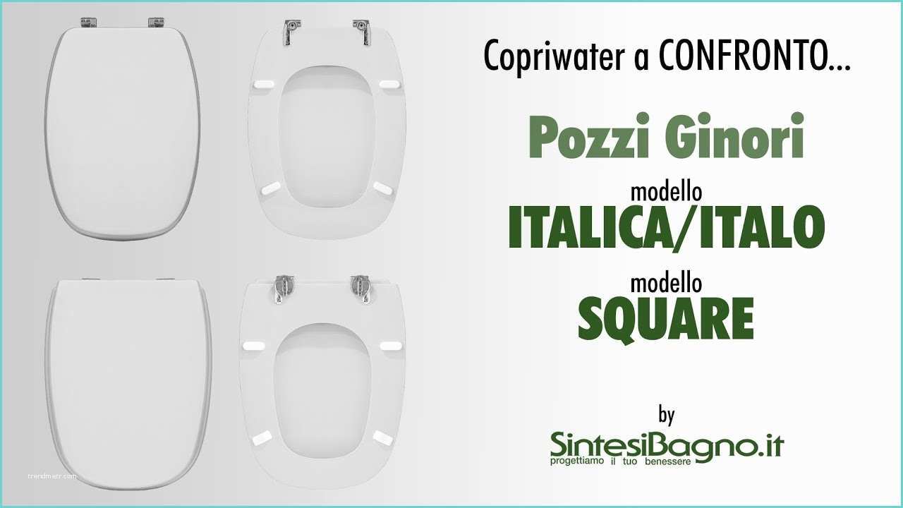 Copriwater Ideal Standard Leroy Merlin Copriwater Pozzi Ginori Italica Italo Vs Square Sedili
