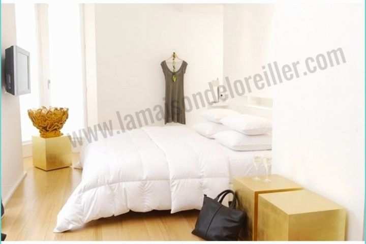 Couette Pyrenex 90 Duvet Oie Couette En Duvet D Oie Maison Design Wiblia