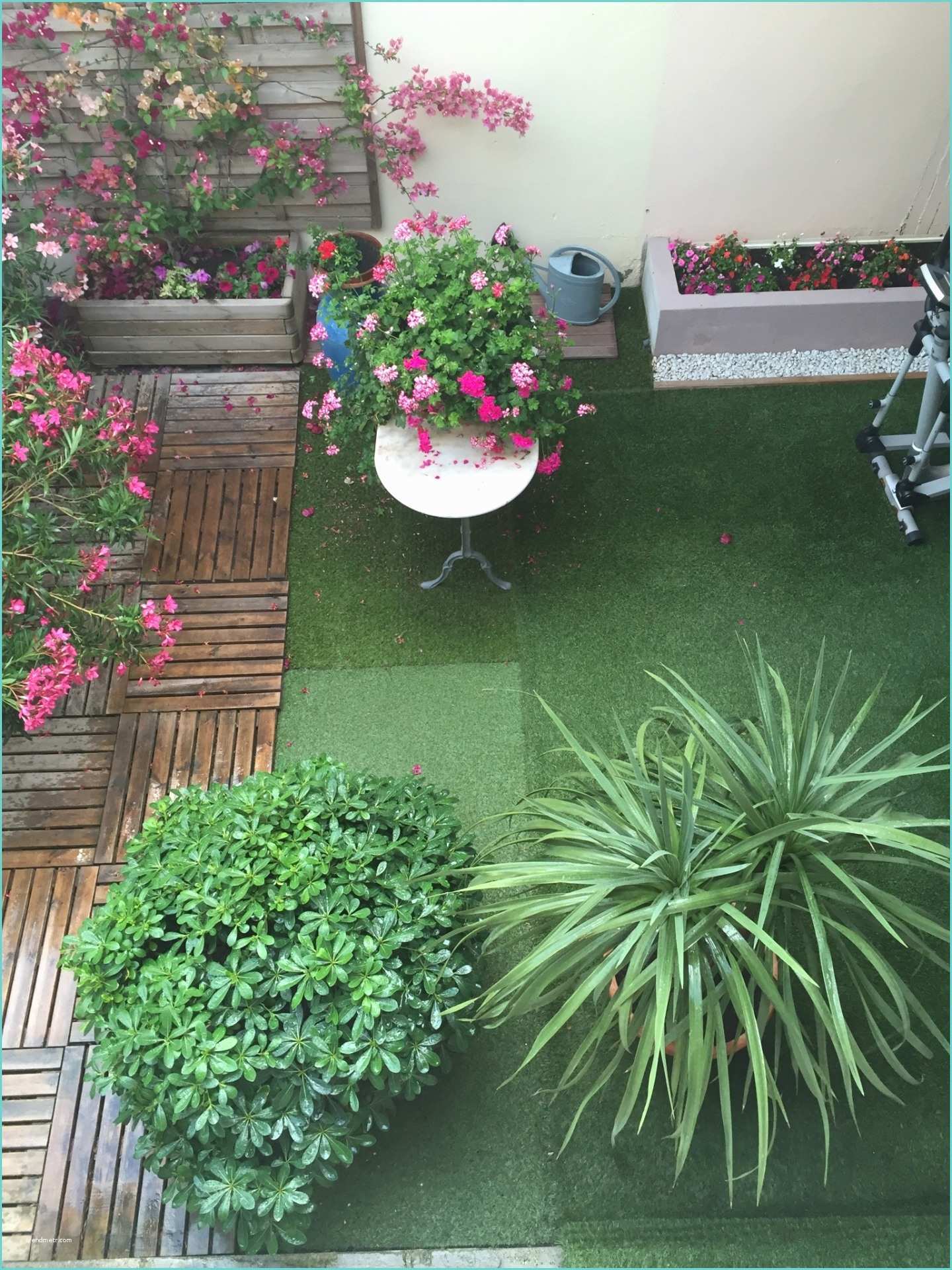 Cration Jardin Sur Mesure Grenoble Medibelle Design Aménagements Paysagers Espaces Verts
