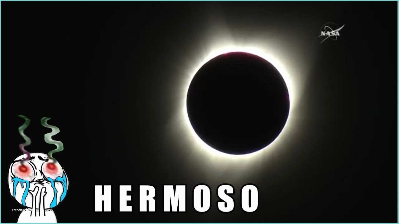 Dal De sol 2017 Memes Del Eclipse total De sol En MÉxico 2017 El Eclipse