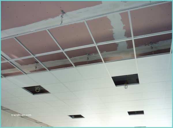 Dalle De Plafond Suspendu 60x60 Leroy Merlin Dalle De Plafond 60x60 Perfect Dalle Plafond Modle Racine
