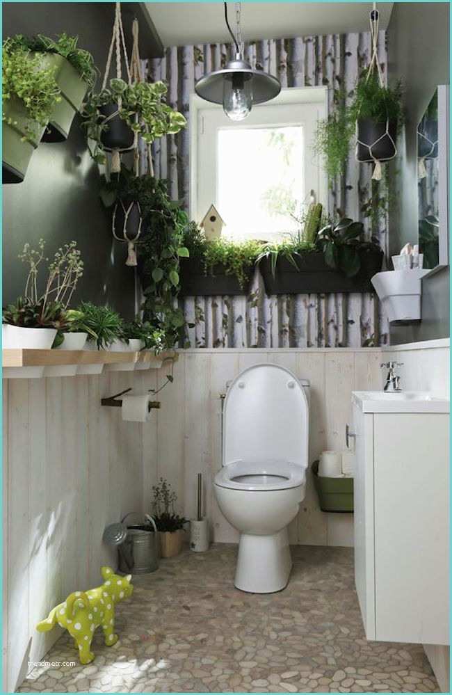 Dcoration toilettes Moderne Décorer Ses Wc Ce N Est Pas Une Idée De Chiottes