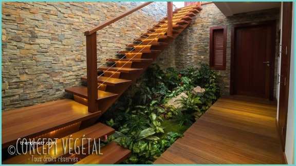 Deco Mur Escalier Une Maison à St Barth Aux Antilles Plante Stabilisée Ou