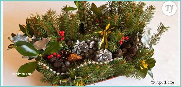 Deco Noel Avec Des Branches Decoration De Noel Avec Des Branches De Sapin
