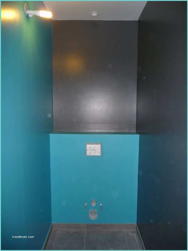 Deco toilette Bleu Canard Peinture Des Wc Le 06 04 2011 Blog De Oo Notrenidouillet Oo