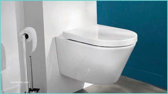 Deco toilette Bleu Canard Une touche De Couleur Dans Les toilettes