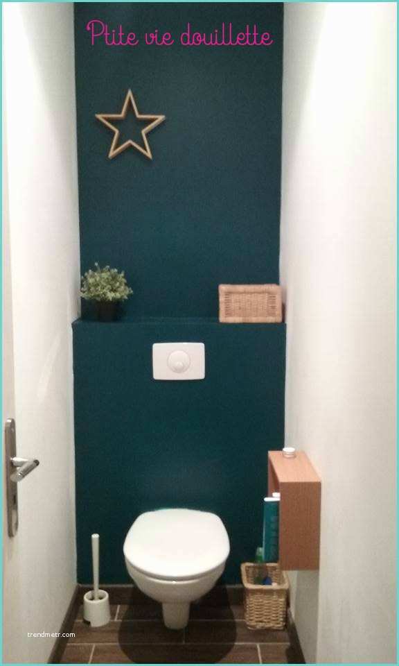 Deco toilette Bleu Canard Wc Bleu Canard Et Gris – Ciabiz
