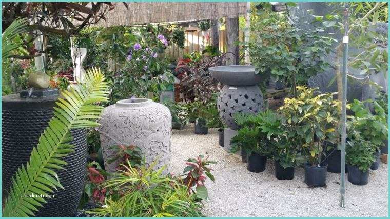 Decoration Jardin Zen Exterieur Petit Jardin Zen 108 Suggestions Pour Choisir Votre