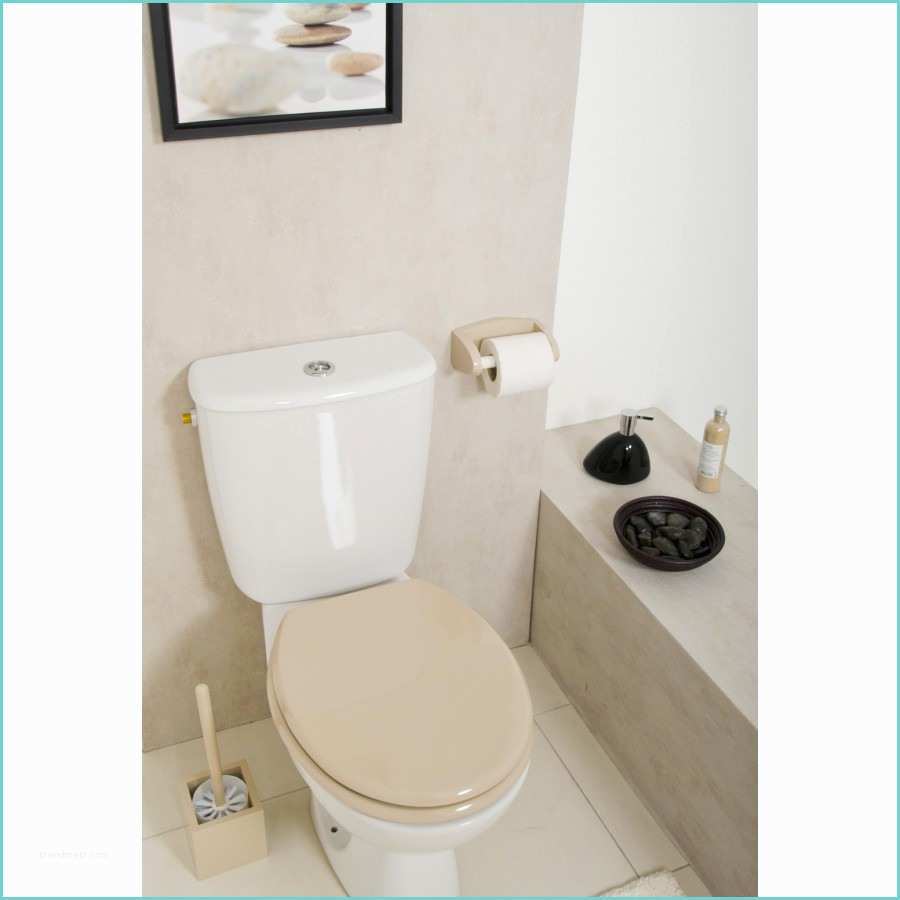Decoration Wc Peinture toilette Couleur Beige – Ciabiz