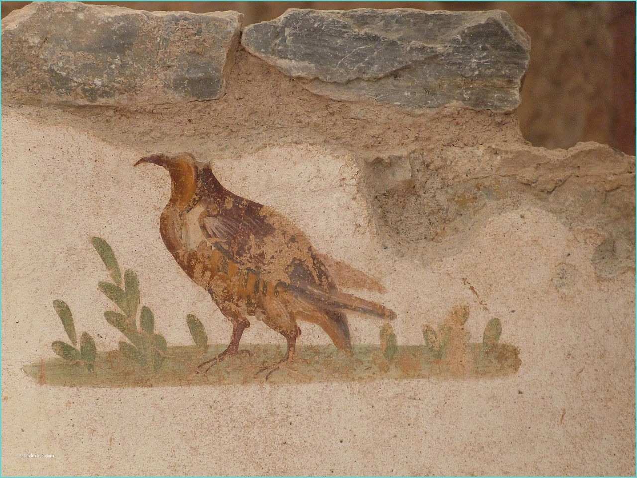 Description Dune Peinture File Peinture Murale Oiseau Jpg Wikimedia Mons