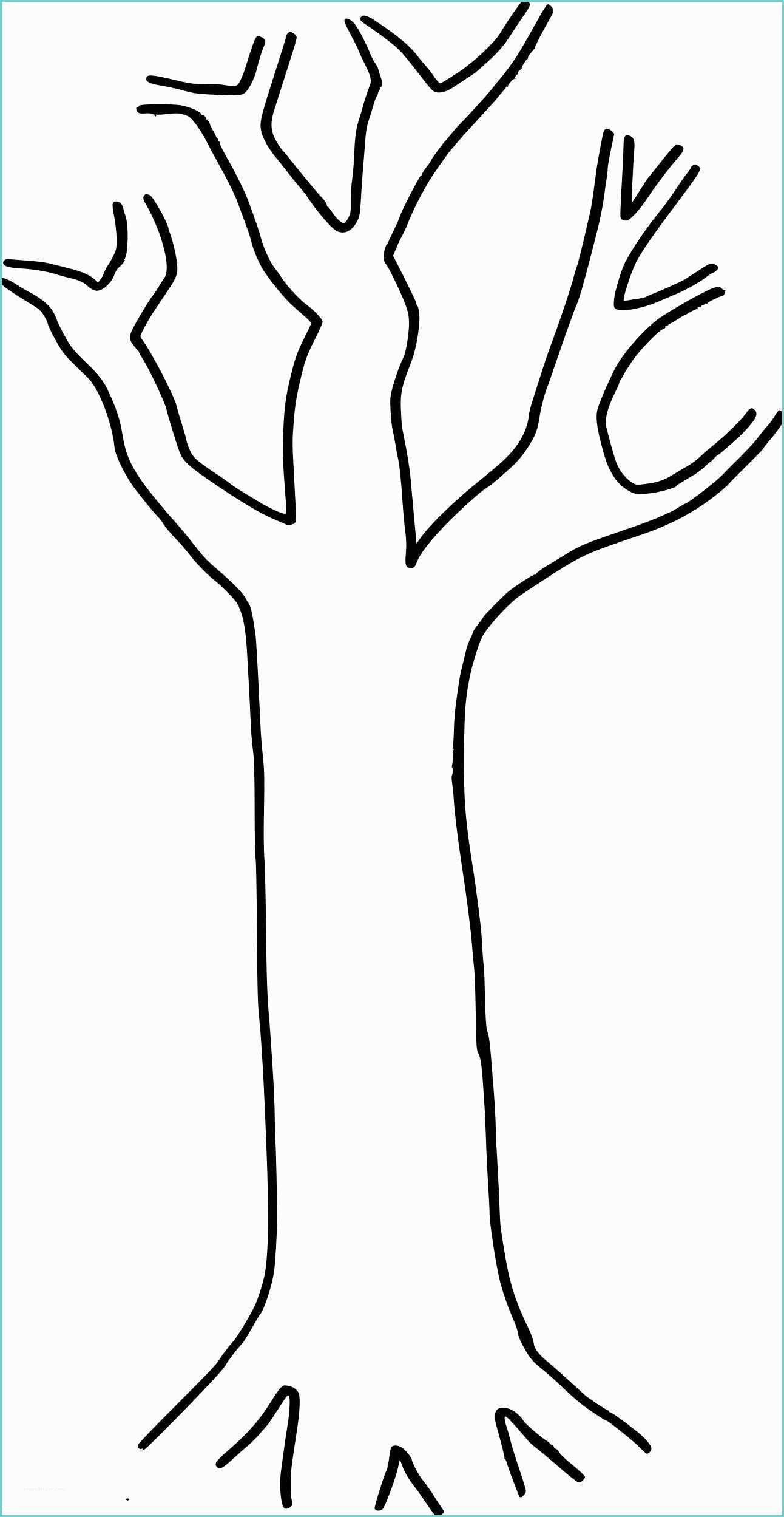 Arbre Sans Feuille Coloriage Coloriage Arbre Dessin A Vrogue Co