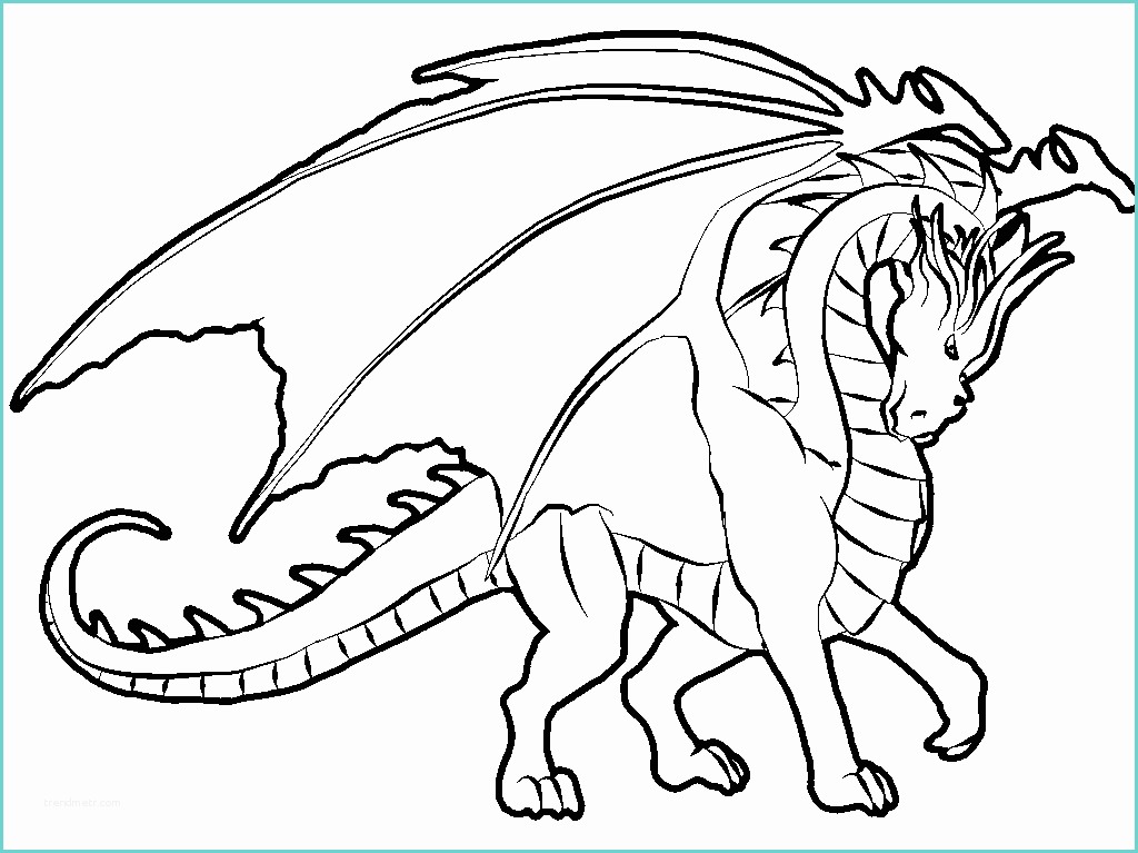 Dessin De Dragon Facile A Reproduire Coloriage Dragons à Colorier Gratuit Animaux