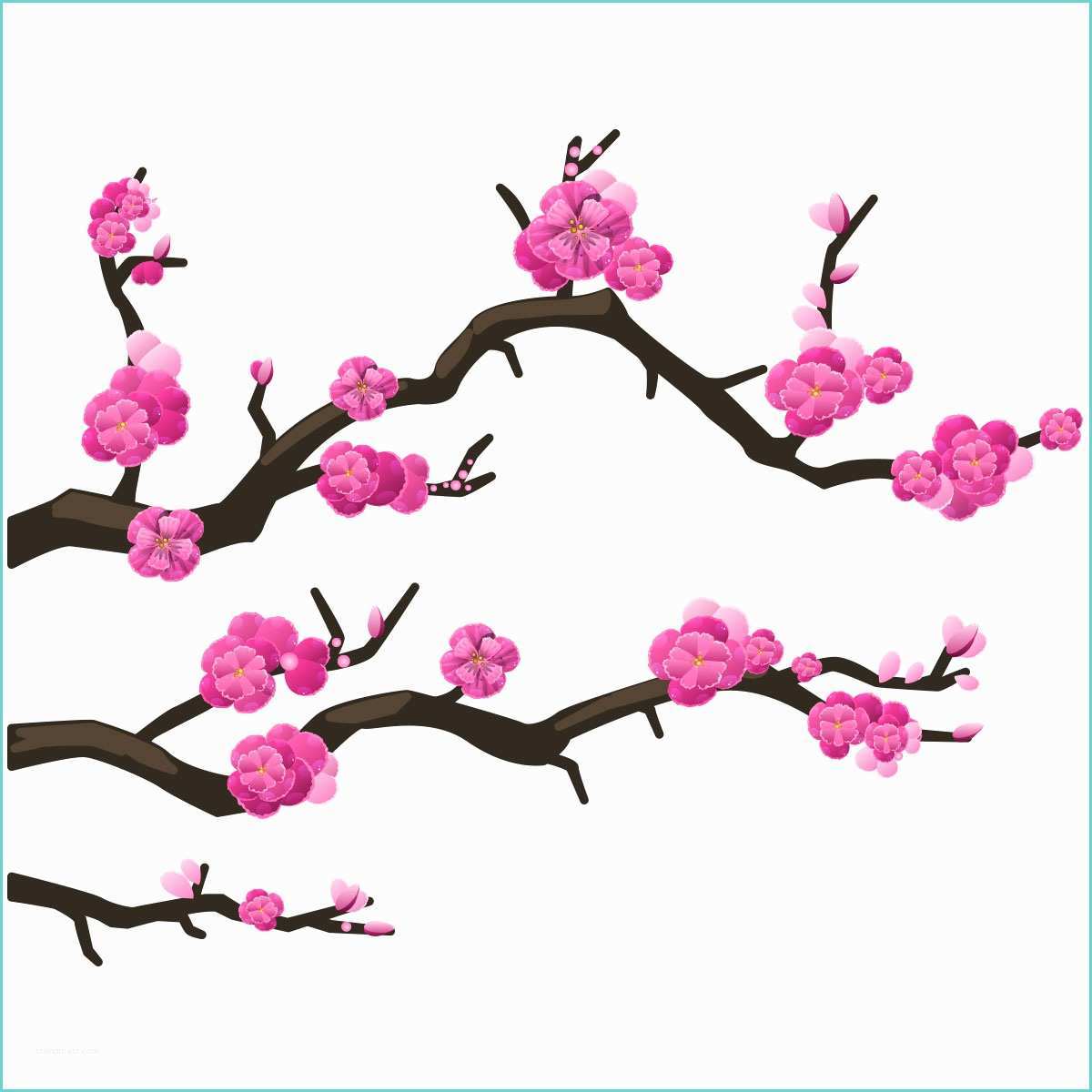 Dessin Fleur De Cerisier Japonais Branche Cerisier Japonais Galerie Tatouage