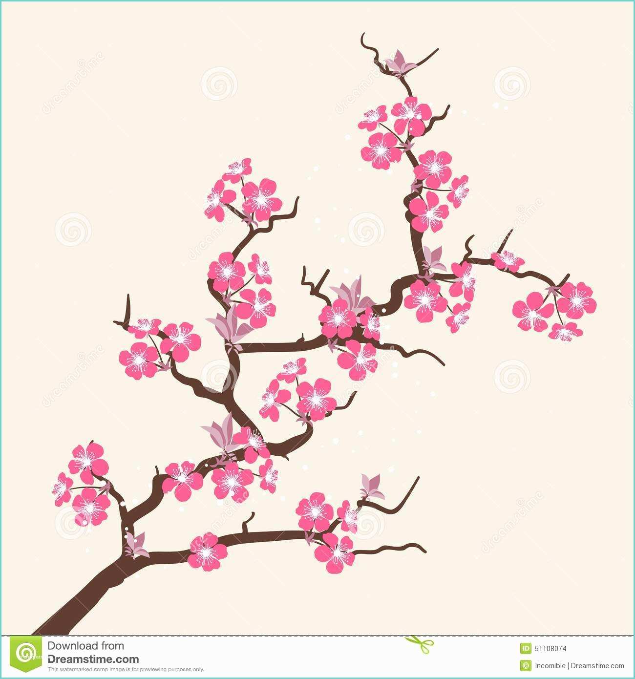 Dessin Fleur De Cerisier Japonais Dessin Cerisier Japonais Fleurs