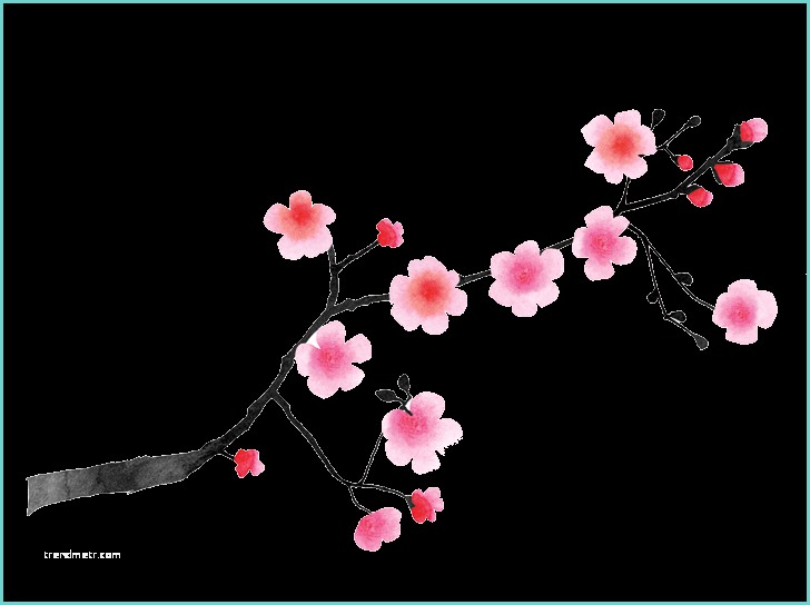 Dessin Fleur De Cerisier Japonais Partir Au Japon Le Guide Otakuplayer Parlons Jeux