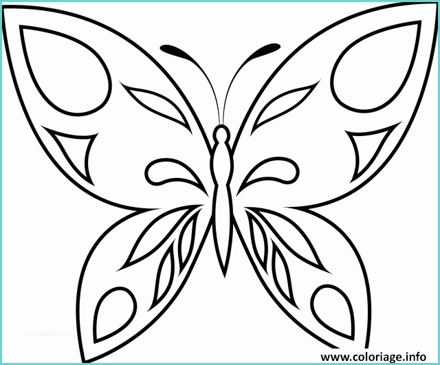 Dessin Pochoir A Imprimer Gratuit Coloriage Papillon 47 Dessin