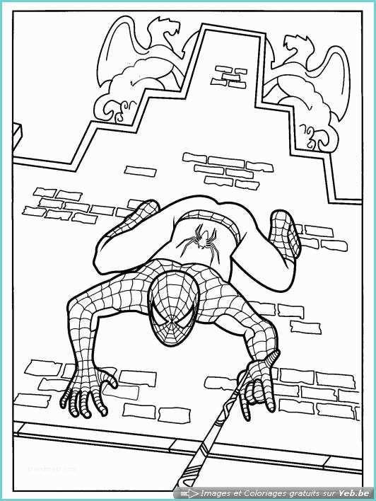 Dessin Sur Les Murs Coloriage Spiderman Grimpe Aux Murs Dans La Catégorie