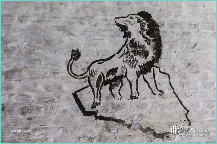 Dessin Sur Les Murs Dessin D Un Lion Sur Un Rocher Sur Les Murs Du fort De La
