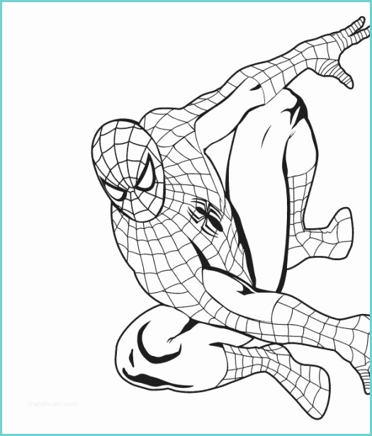 Disegni Da Colorare Di Spiderman Disegni Da Colorare Tema Spiderman