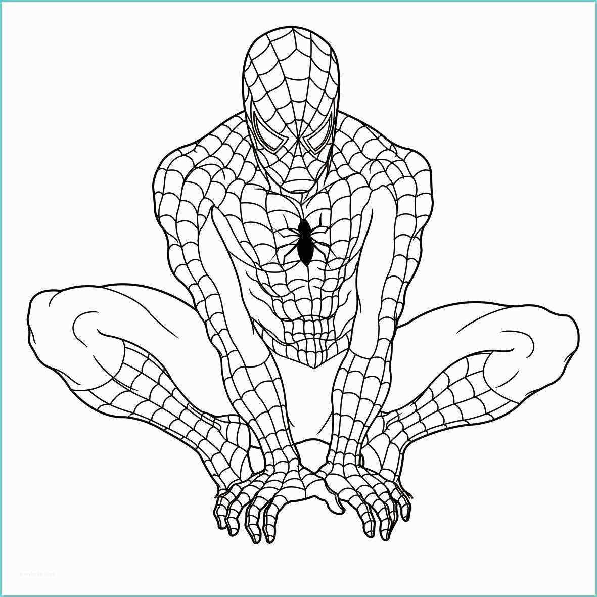 Disegni Da Colorare Di Spiderman Disegni Di Spiderman Fotogallery Donnaclick