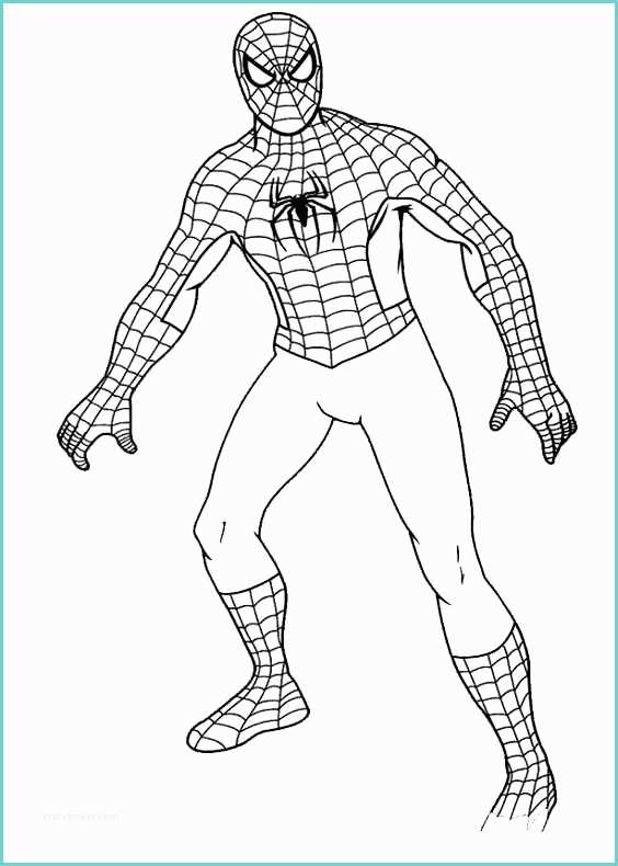 Disegni Da Colorare Di Spiderman Disegno Di Spiderman A Figura Intera Da Colorare