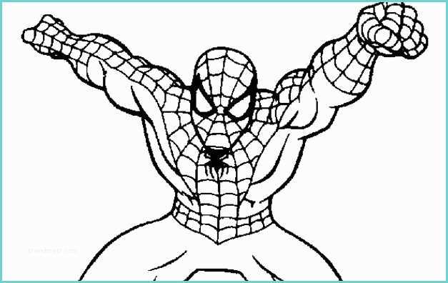 Disegni Da Colorare Di Spiderman Spider Man Da Colorare Cose Per Crescere