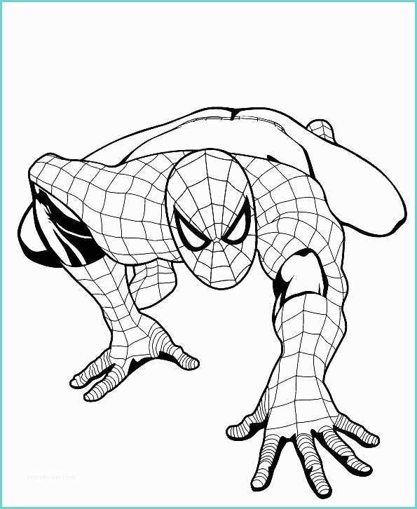 Disegni Da Colorare Di Spiderman Spiderman Benvenuti Su Ilpulcinobirichino