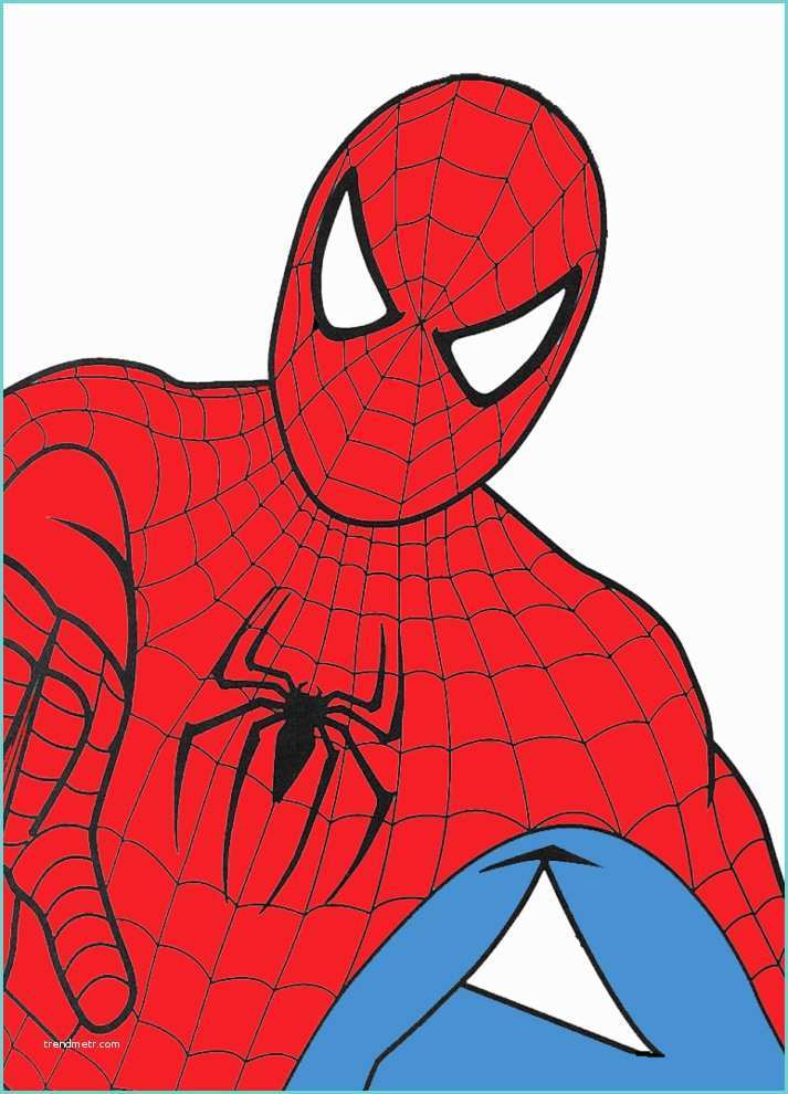 Disegni Da Colorare Di Spiderman Stampa Disegno Di Spiderman A Colori