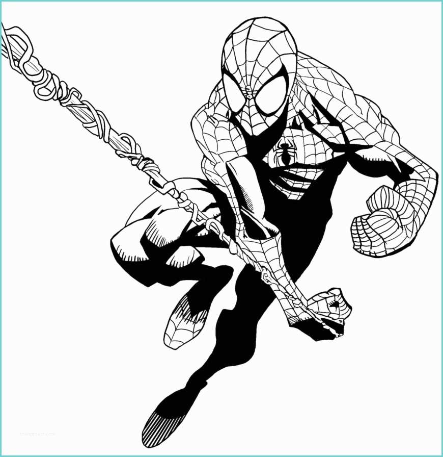 Disegni Da Colorare Di Spiderman Stampa Disegno Di Spiderman L Uomo Ragno Da Colorare