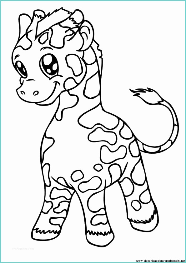 Disegni Di Animali Da Colorare Per Bambini Disegni Giraffe Disegni Giraffe Da Colorare