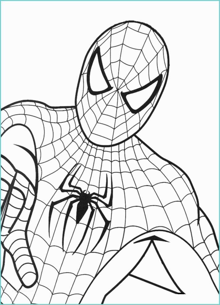 Disegni Moto Facili Stampa Disegno Di Spiderman Da Colorare
