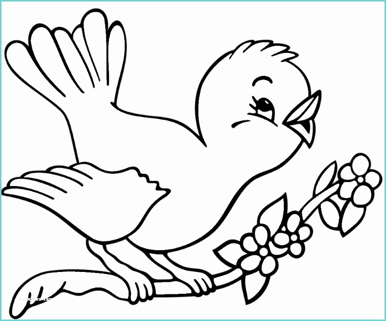 Disegno Di Un Uccellino Disegni Da Colorare Gli Animali Dell Aria Impariamo E