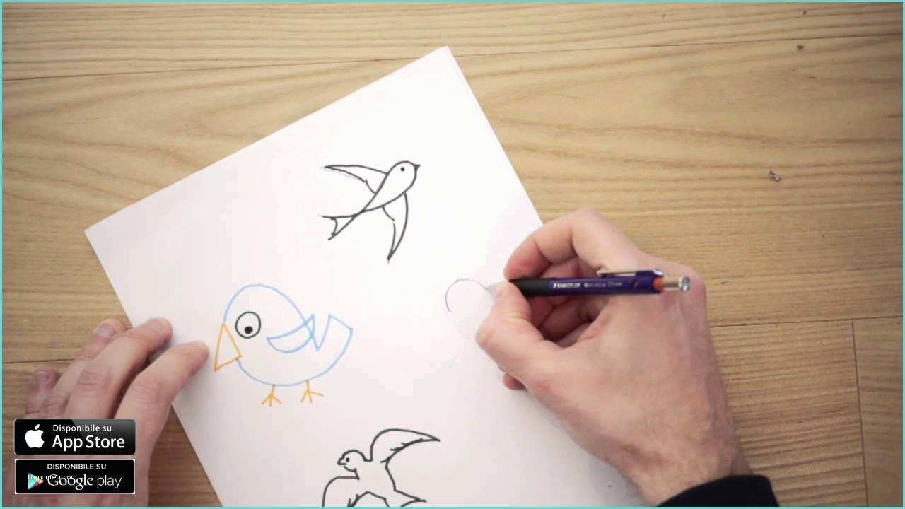 Disegno Di Un Uccellino Disegni Di Uccelli Da Colorare Per Bambini E Disegnare