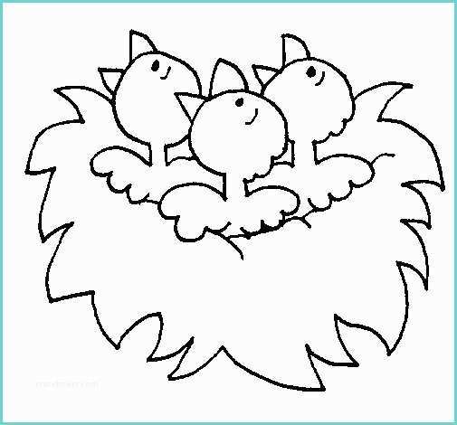 Disegno Di Un Uccellino Disegno Di Nido Con Gli Uccellini Da Colorare Acolore