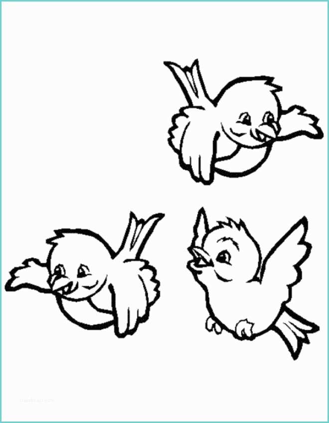 Disegno Di Un Uccellino Disegno Di Uccellini Da Colorare Per Bambini