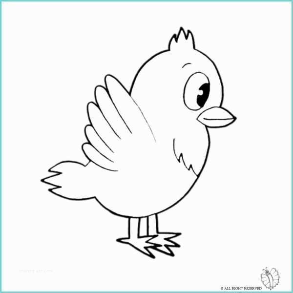 Disegno Di Un Uccellino Disegno Di Uccello Da Colorare Per Bambini