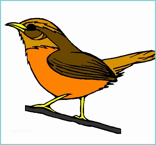 Disegno Di Un Uccellino Disegno Uccello Selvatico Colorato Da Utente Non