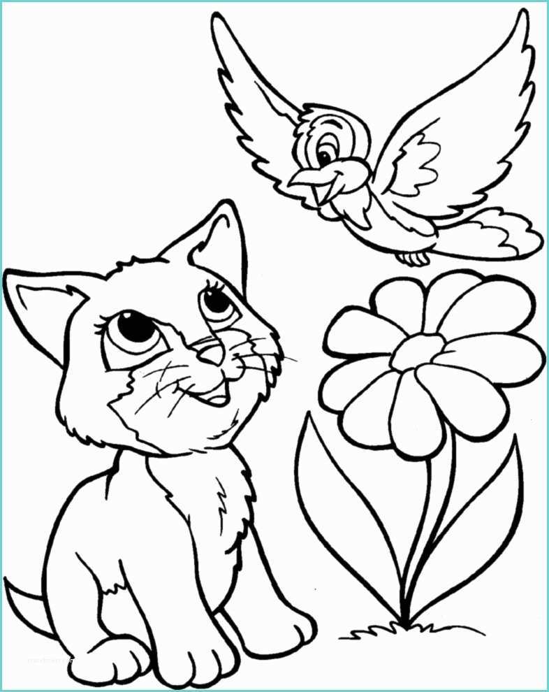 Disegno Di Un Uccellino Stampa Disegno Di Gattino E Uccellino Da Colorare