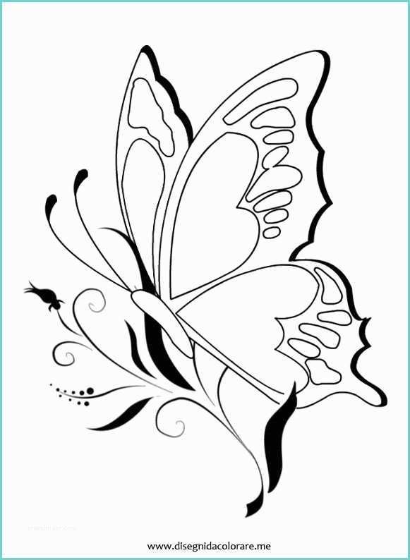 Disegno Fiori Stilizzati Farfalla Sul Fiore