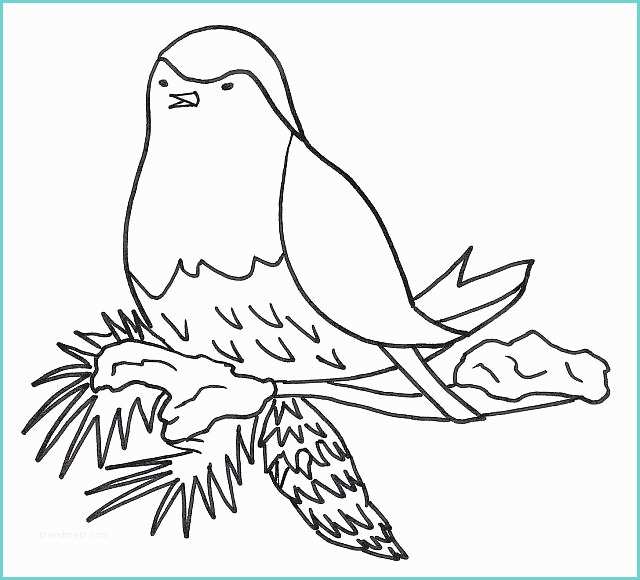 Disegno Uccellino Bambini Buffo Uccellino Sul Nido Disegni Da Colorare Disegni Da