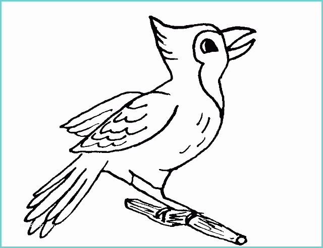 Disegno Uccellino Bambini Disegno Da Colorare Per Bambini Uccellino Con Cresta
