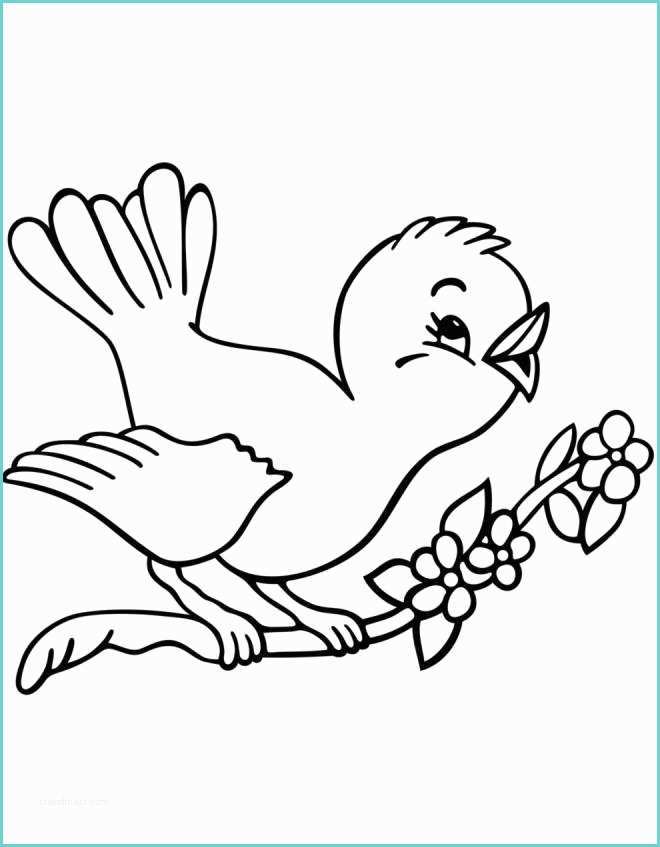Disegno Uccellino Bambini Disegno Di Uccelli In Primavera Da Colorare Per Bambini