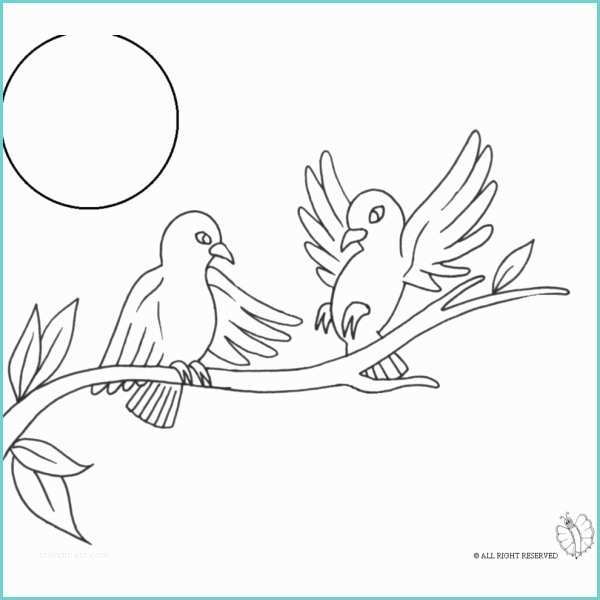 Disegno Uccellino Bambini Disegno Di Uccelli Sull Albero Da Colorare Per Bambini