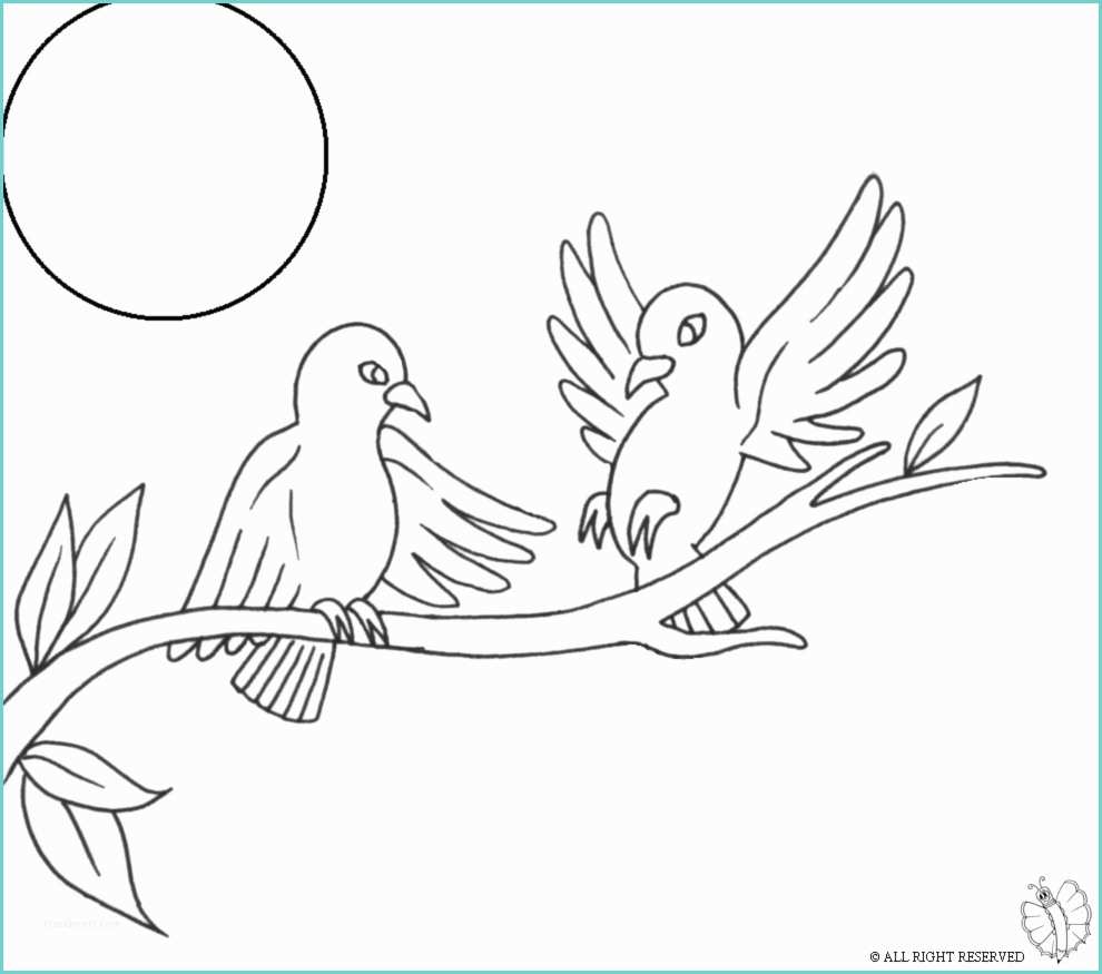 Disegno Uccellino Bambini Stampa Disegno Di Uccelli Sull Albero Da Colorare