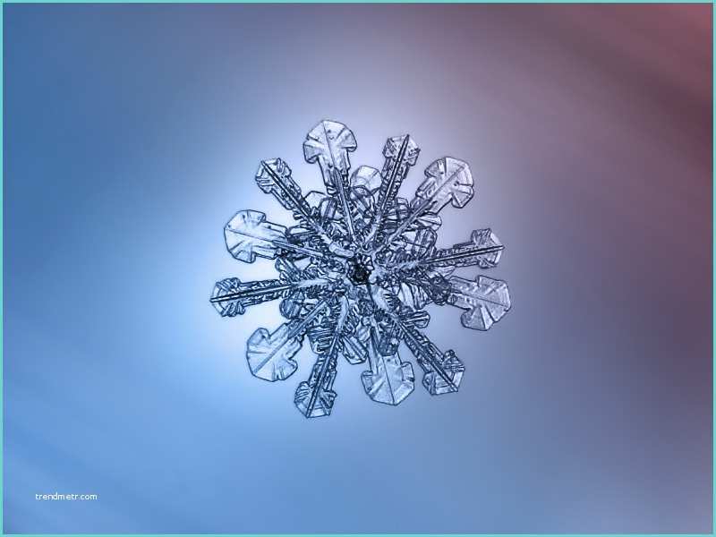 Diy Flocon De Neige the Most Beautiful Snowflake Photos You Ll Ever See
