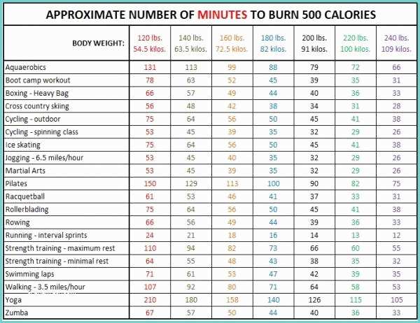 Douchebag Workout 2 Cheats Codes List 20 Ways to Burn 500 Calories