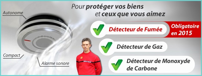 Dtecteur De Monoxyde De Carbone Castorama Vigilance Sécurité