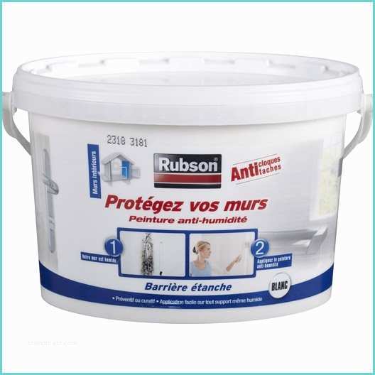 Enduit Anti Humidite Peinture Anti Humidité Protégez Vos Murs Rubson Blanc 2