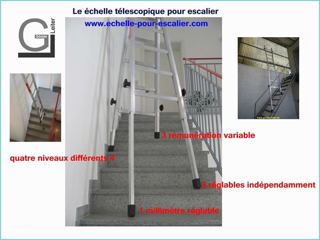 Escalier 14 tournant Brico Depot Echelles Pour Les Escaliers